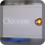 Oktopussy